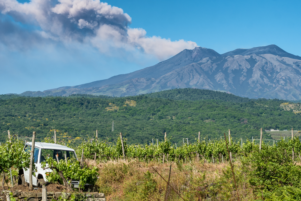 Vigneti ai piedi dell'Etna