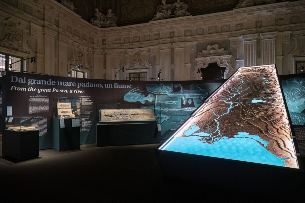 La mostra sul Po a Palazzo Madama di Torino - Foto di Giorgio Perottino