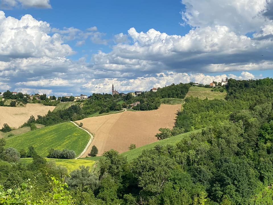 Il bosco di Santa Franca, Emilia Romagna - foto AIGAE