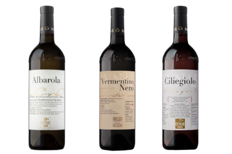 I Vermentini di Cantina Lunae, produttore d'eccellenza dei Colli di Luni (Sp). Foto di Cantina Lunae