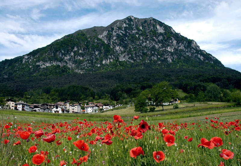 Comano valle Salus, una vacanza tranquillamente attiva
