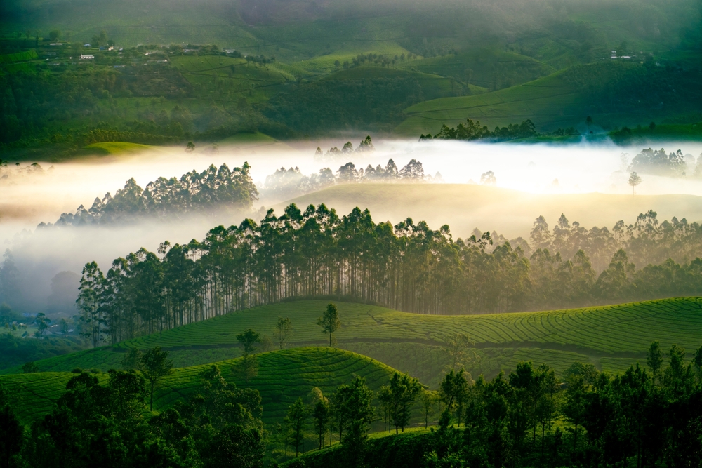 Paesaggio mistico in Kerala