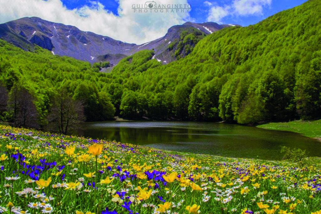 lago Sirino, Lagonegro