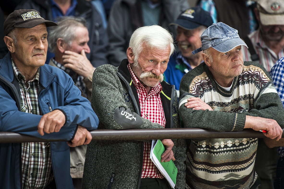 Spettatori all'asta del bestiame di San Lorenzo di Sebato © Lorenzo De Simone