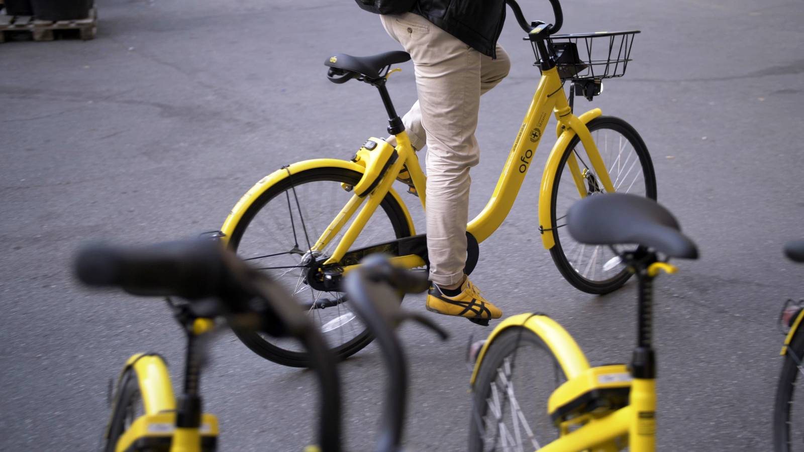 Le bici di Ofo a Milano.