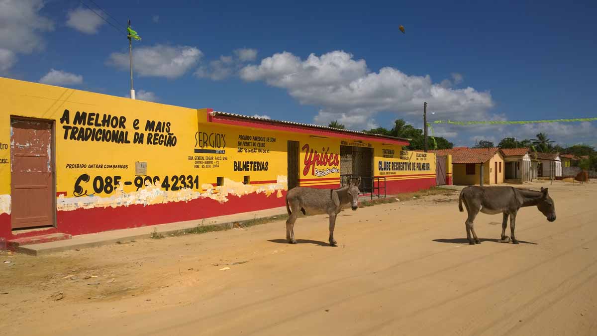 Palmeira, Brazil
