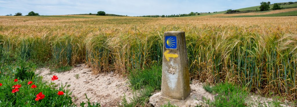 Viaggio Touring Cammino di Santiago