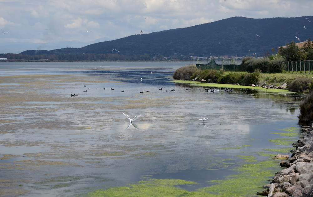 laguna di orbetello