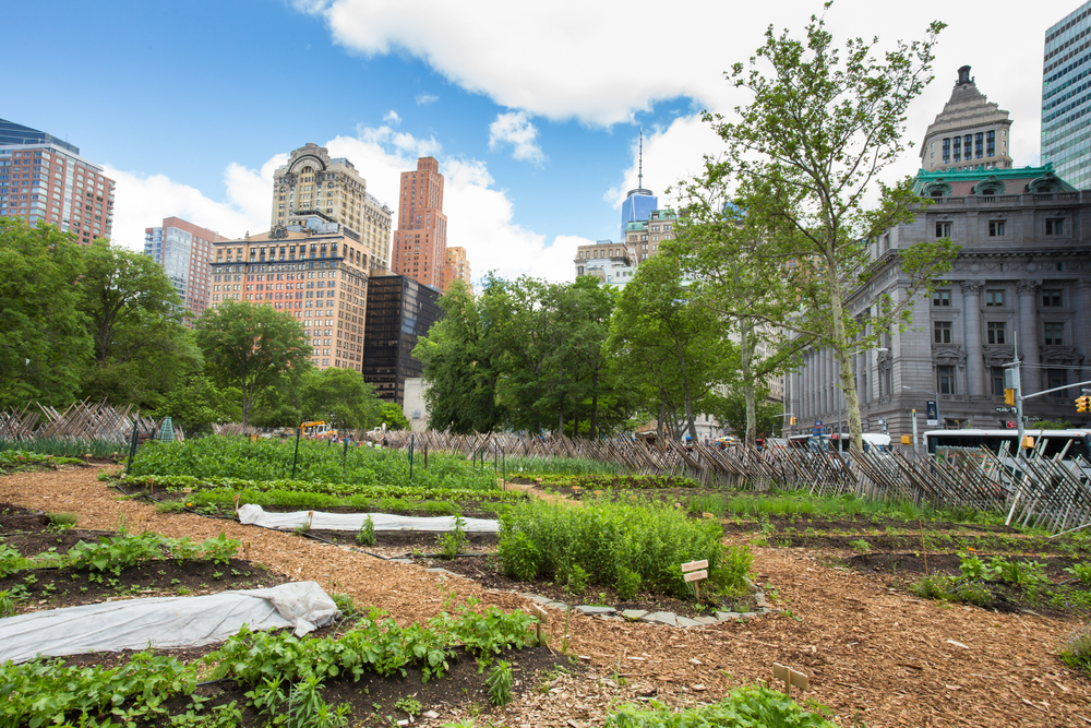 Battery Urban Farm a New York