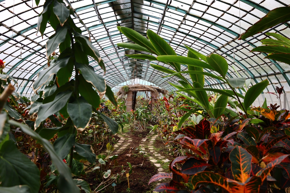 Una serra del Jardin des Serres d'Auteuil - foto Shutterstock