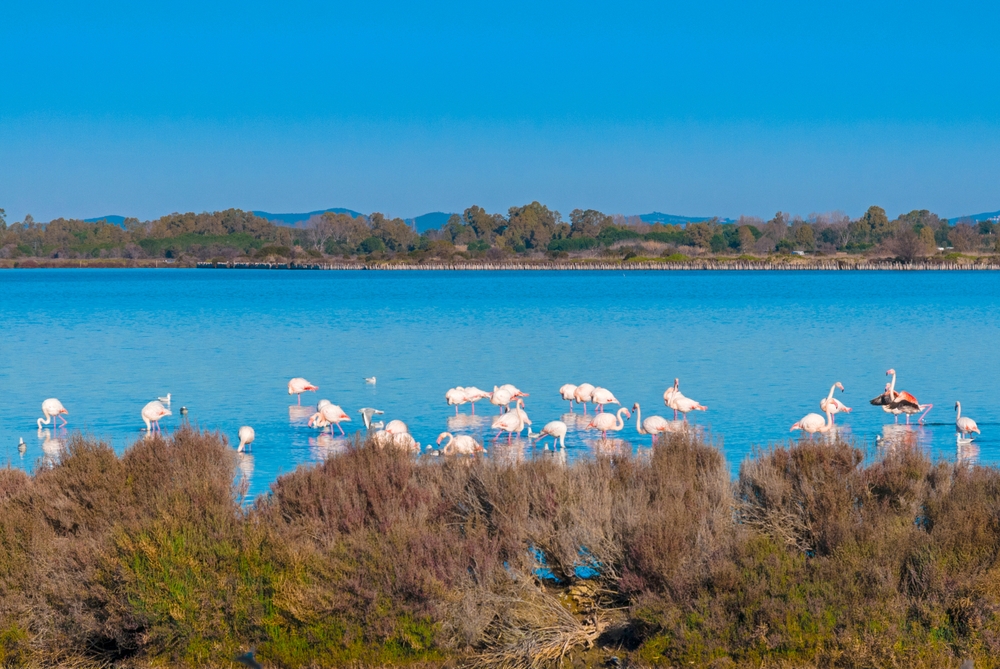 laguna di orbetello