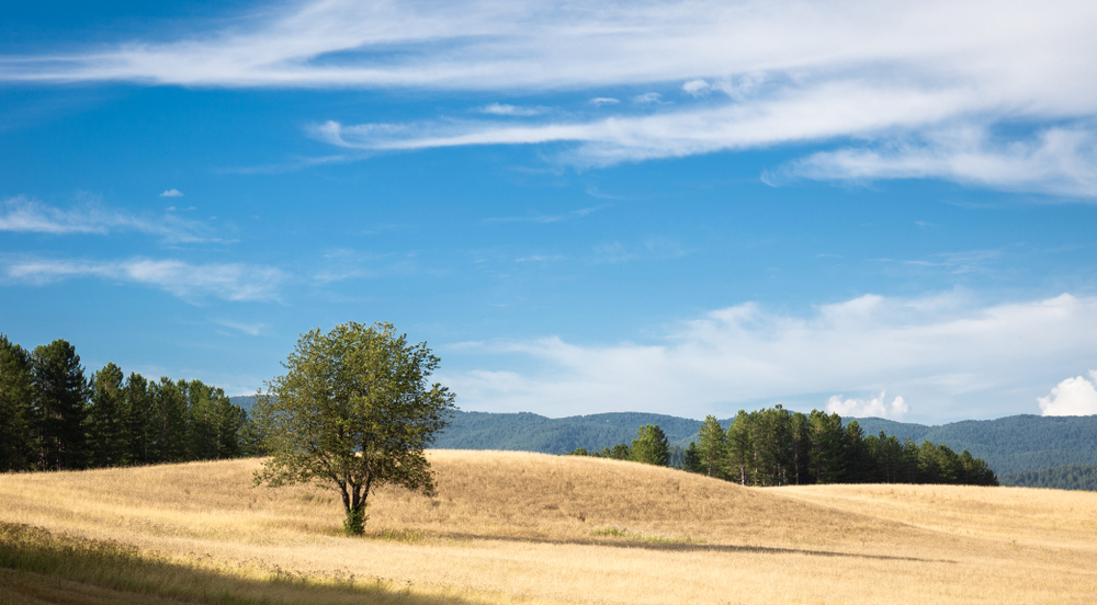 Parco nazionale della Sila