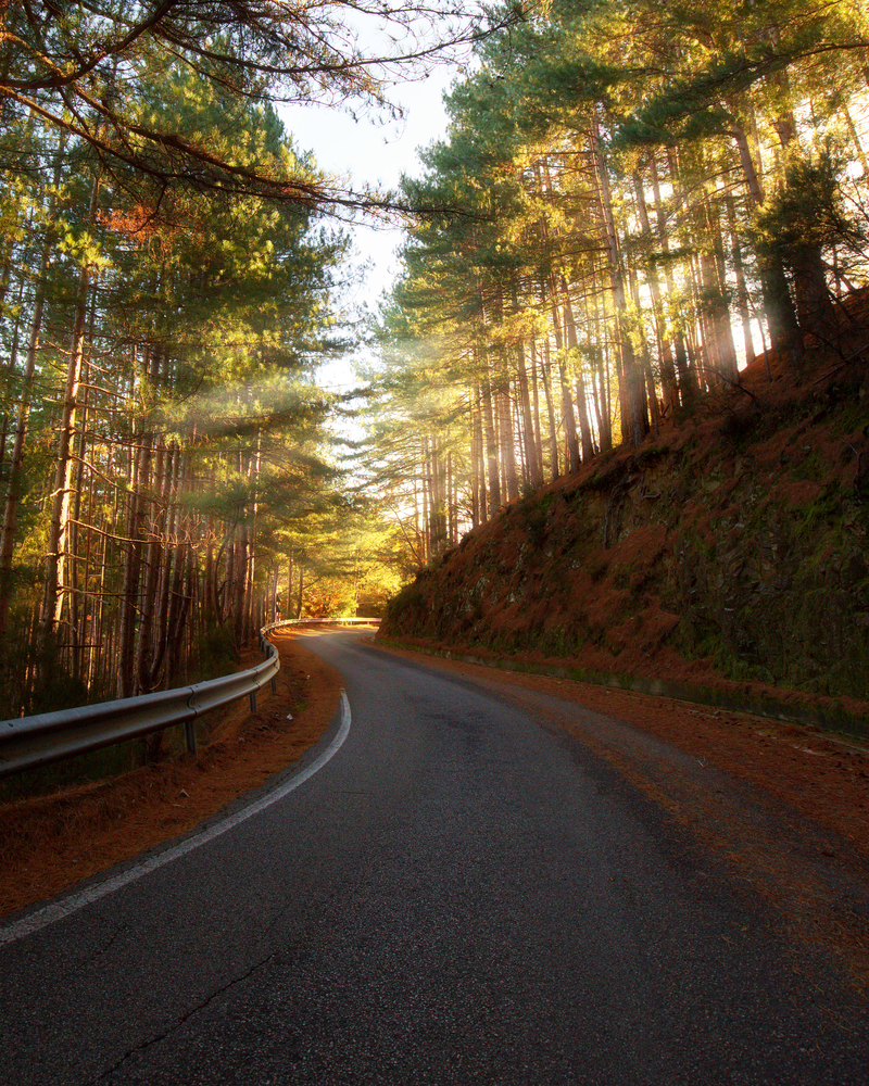 Sulla strada, nel Parco della Sila
