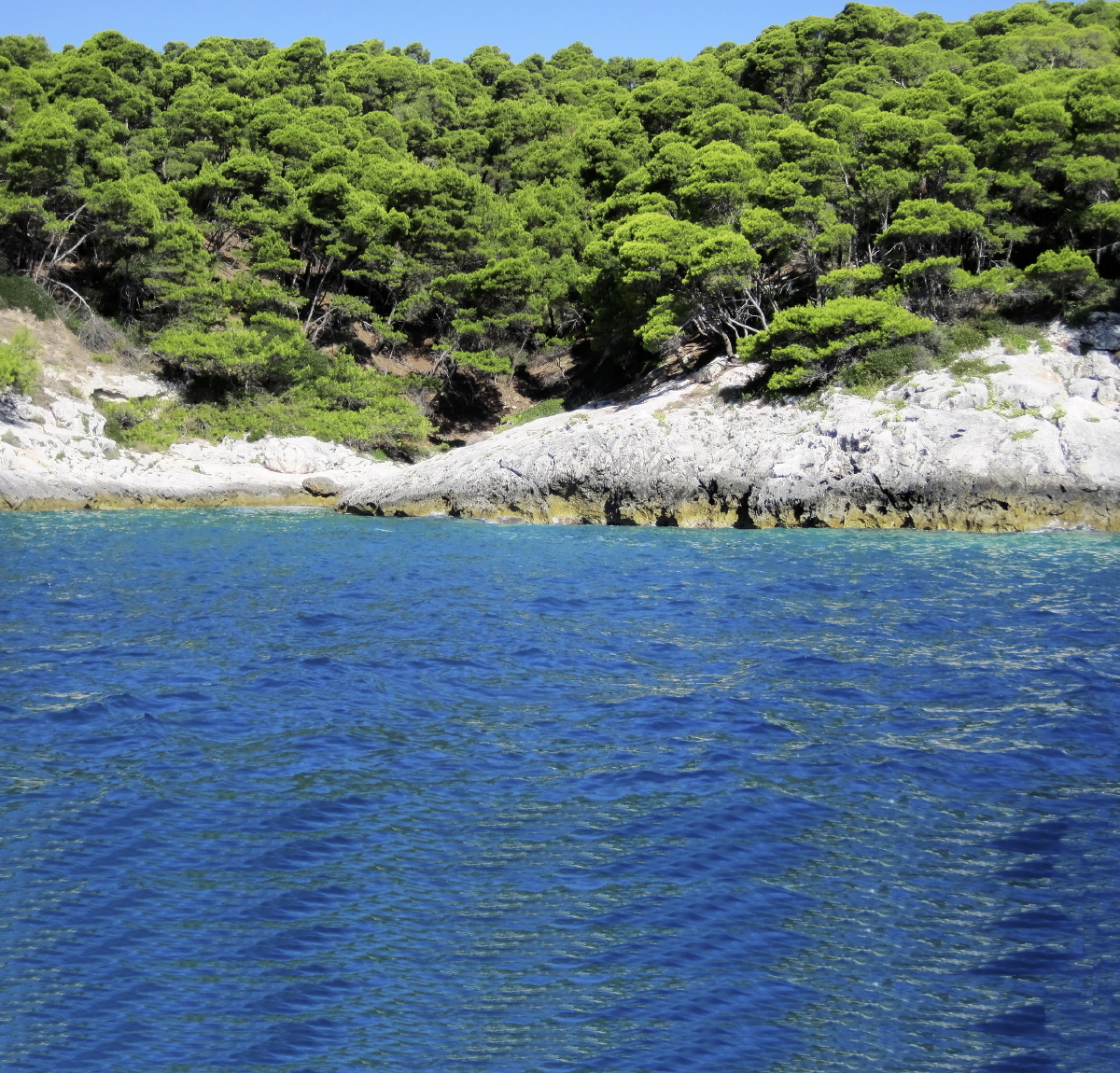 Il verde e l'azzurro delle isole Tremiti