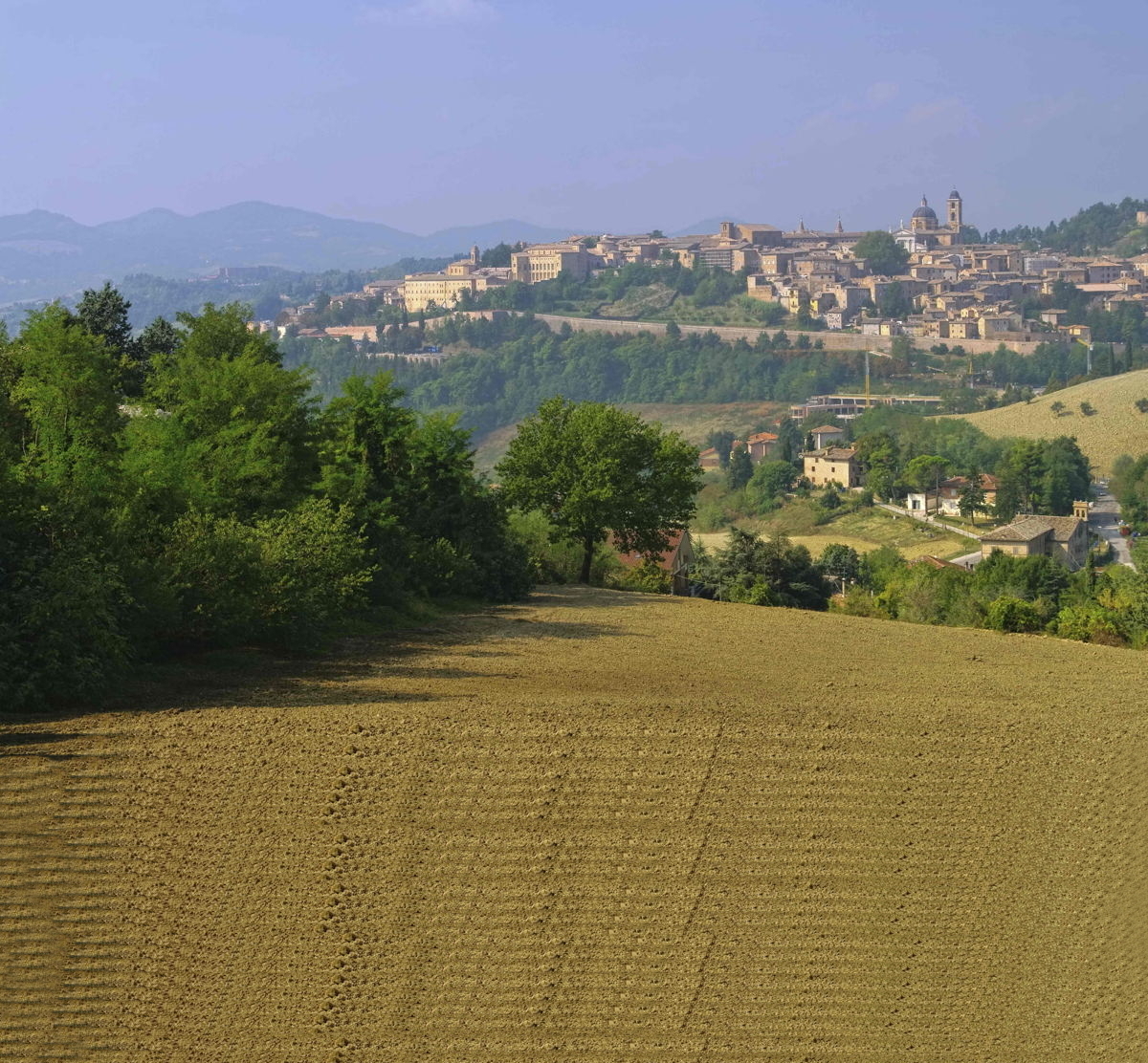 Un panorama di Urbino, vista dalla campagna