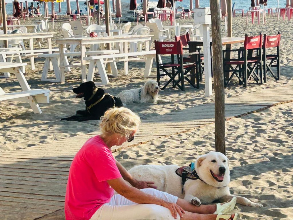 Baubeach - Fiumicino