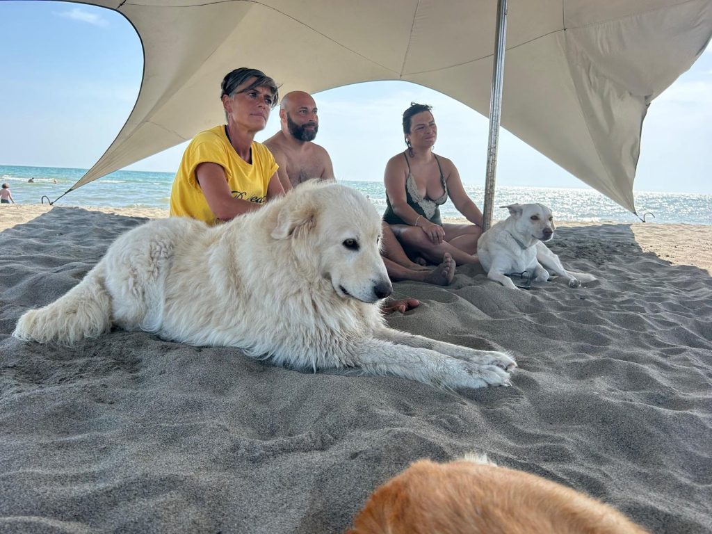 Baubeach - Fiumicino